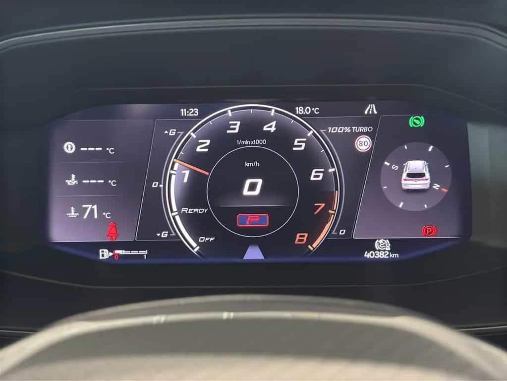 Cupra Formentor 2.0 TSI DSG 4Drive VZ LED NAVI ACC SID 04/2024-photo-20