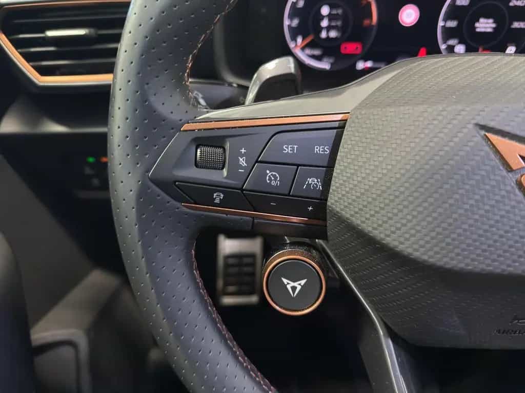 Cupra Formentor 2.0 TSI DSG 4Drive VZ AHK+BEATS+NAVI+K 03/2024-photo-17