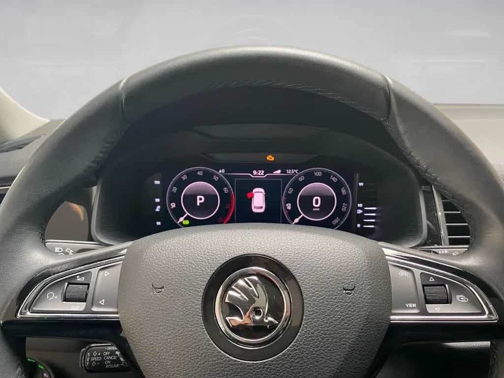 Skoda Kodiaq 2.0 TSI L&K 4x4 Stand.hz. Pano. RFK LED 01/2020-photo-15