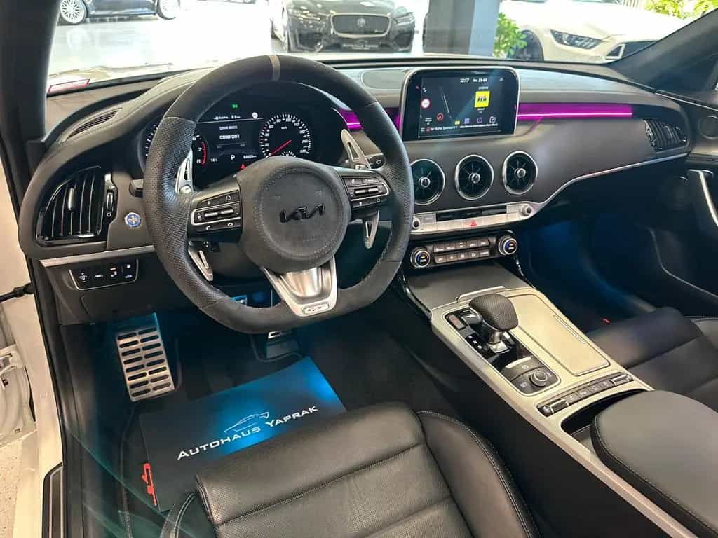 Kia Stinger 3.3 GT 4WD|360|H/K|Pano|20"|Bastuck|Serv 04/2018-photo-21