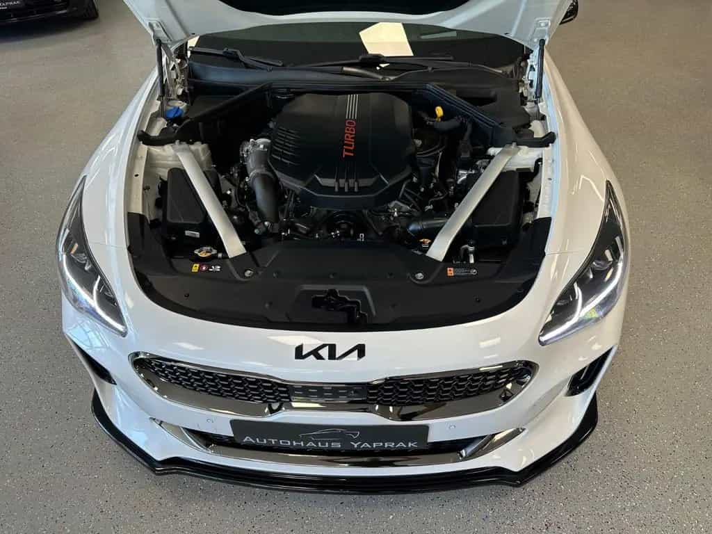 Kia Stinger 3.3 GT 4WD|360|H/K|Pano|20"|Bastuck|Serv 04/2018-photo-42