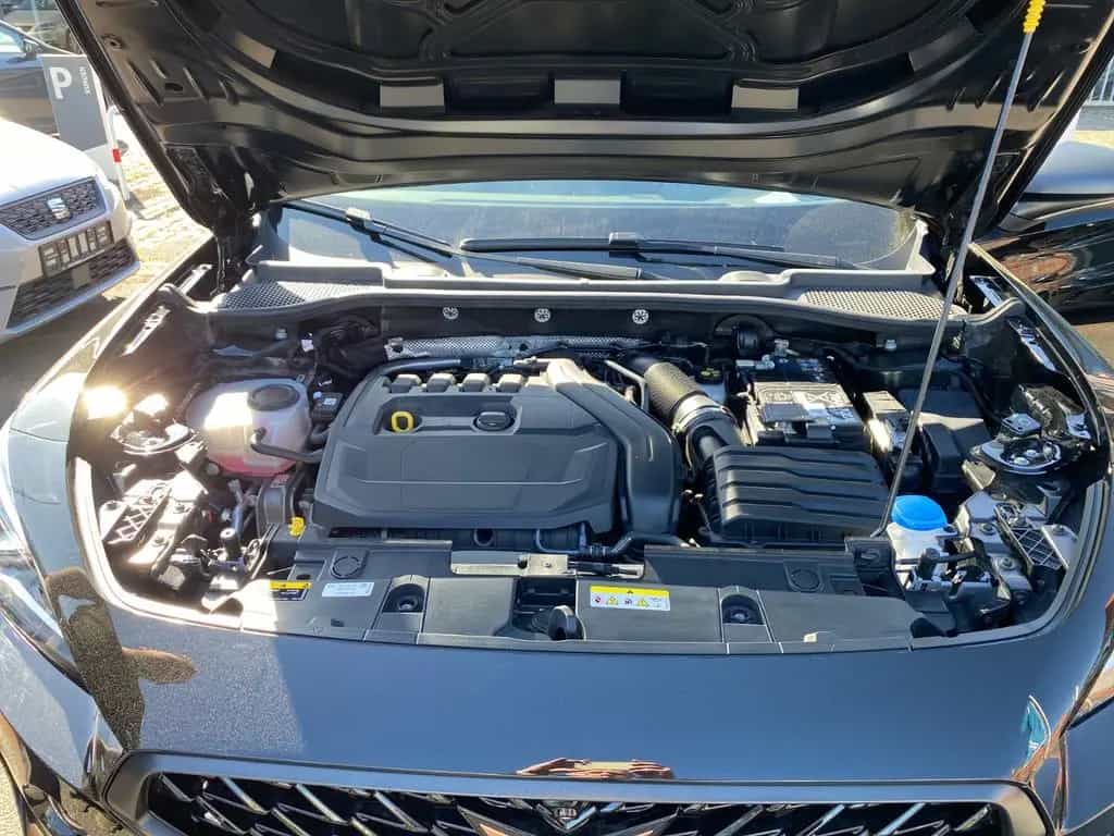 Cupra Formentor 1,5 TSI Tribe Edition  110KW (150PS) 06/2024-photo-20
