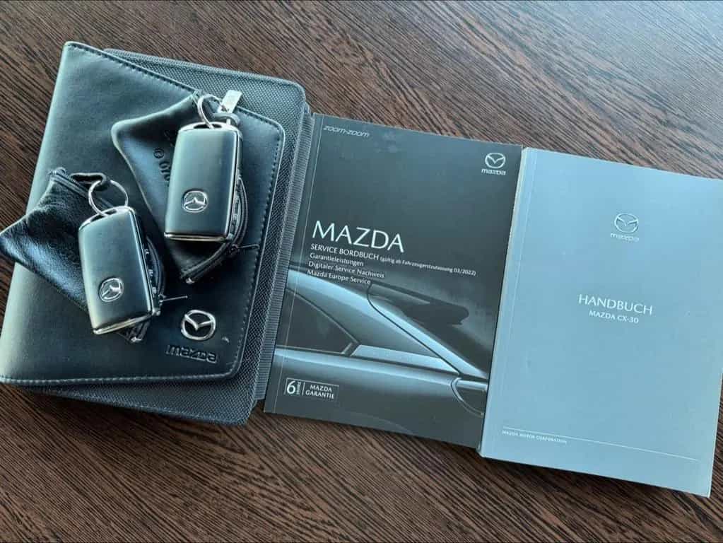 Mazda CX-30 Skyactiv-X 1.HAND*ACC*360°*HUD*BOSE*KEYLES 08/2022-photo-48