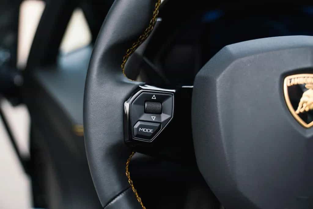 Lamborghini Aventador S Roadster Unica Carbon + PPF 06/2020-photo-14