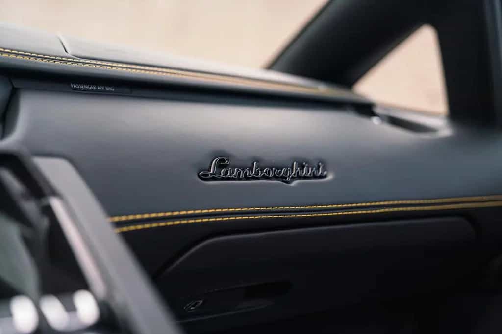 Lamborghini Aventador S Roadster Unica Carbon + PPF 06/2020-photo-21