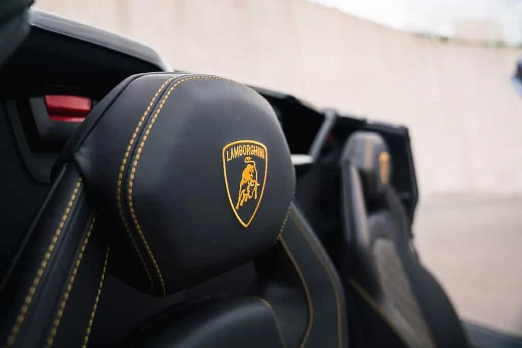Lamborghini Aventador S Roadster Unica Carbon + PPF 06/2020-photo-45