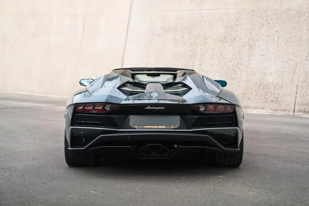 Lamborghini Aventador S Roadster Unica Carbon + PPF 06/2020-photo-5