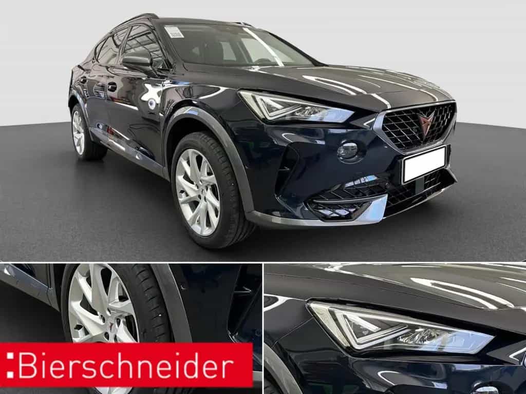 Cupra Formentor 2.0 TSI DSG 4Dr AB292EUR FULL LINK SHZ 04/2022-photo-10