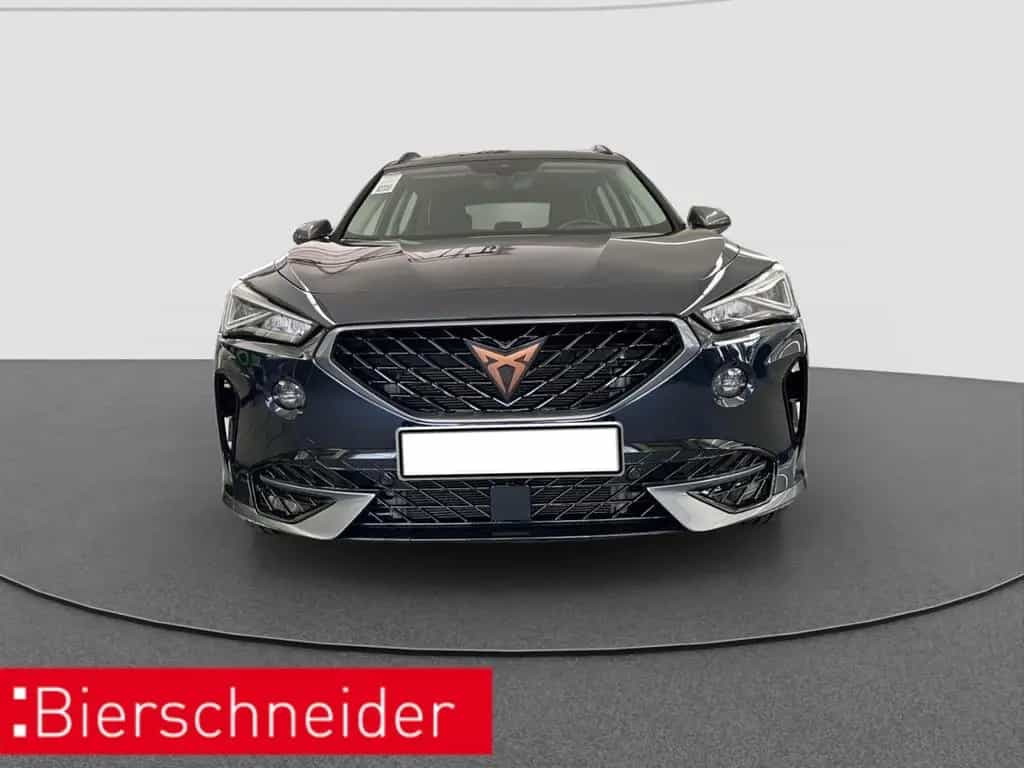 Cupra Formentor 2.0 TSI DSG 4Dr AB292EUR FULL LINK SHZ 04/2022-photo-2