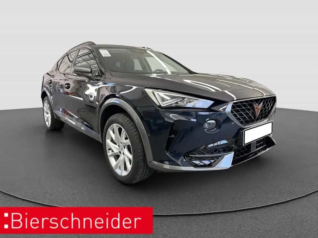 Cupra Formentor 2.0 TSI DSG 4Dr AB292EUR FULL LINK SHZ 04/2022-photo-9