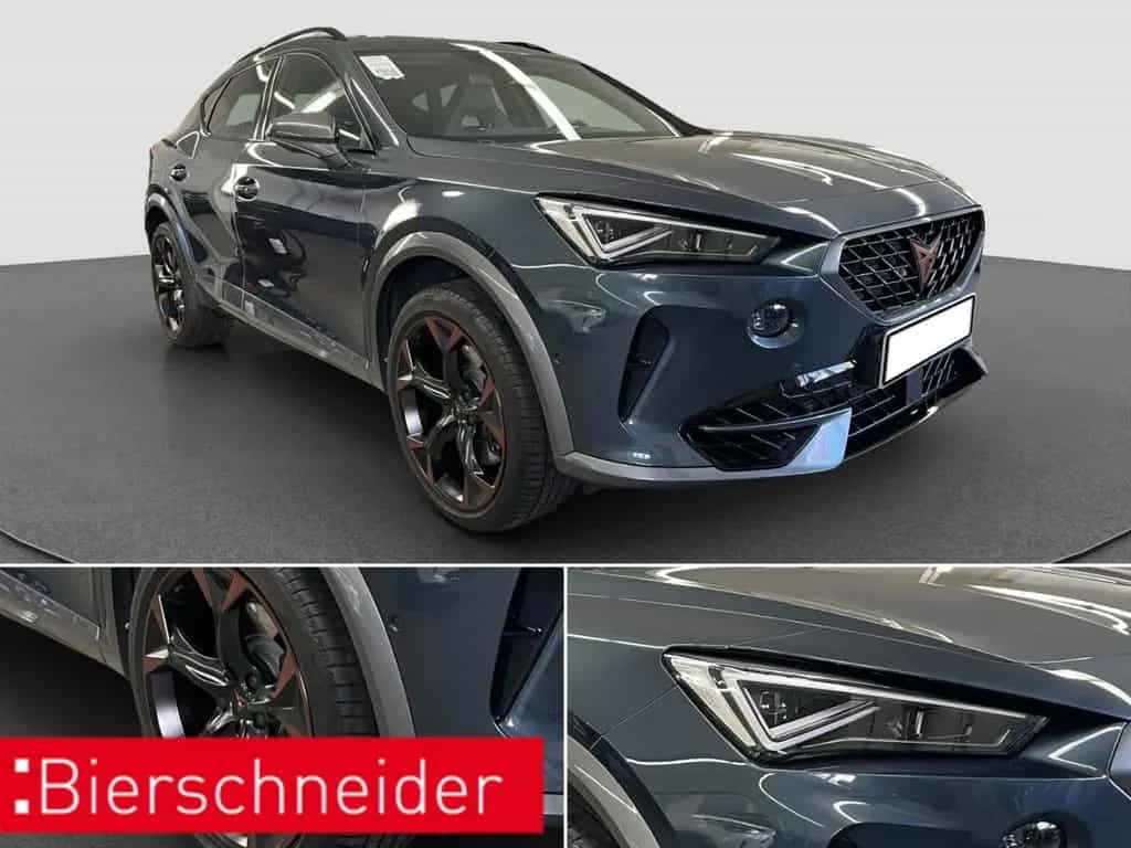 Cupra Formentor 2.0 TSI DSG 4Dr AB321EUR VZ PANO BEATS 03/2023-photo-10