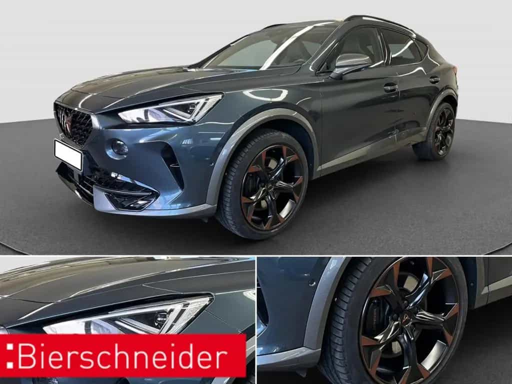 Cupra Formentor 2.0 TSI DSG 4Dr AB321EUR VZ PANO BEATS 03/2023-photo-34