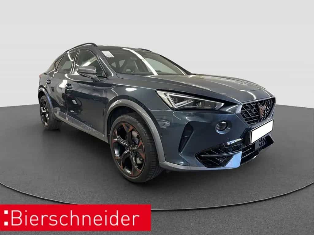 Cupra Formentor 2.0 TSI DSG 4Dr AB321EUR VZ PANO BEATS 03/2023-photo-9