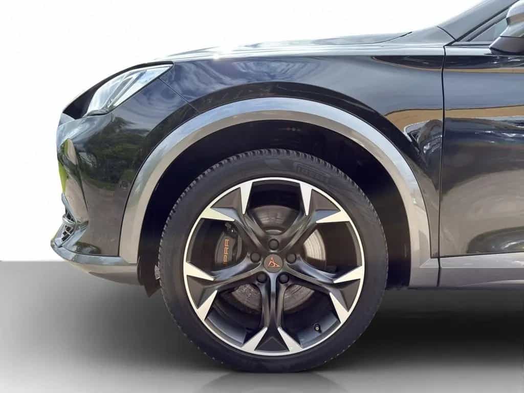 Cupra Formentor 2.0 TSI DSG 4Drive VZ DCC MATRIX*VIRTU 02/2024-photo-22