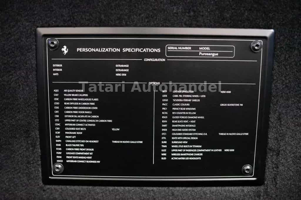 Ferrari Purosangue -Full Carbon - Pano 12/2024-photo-36