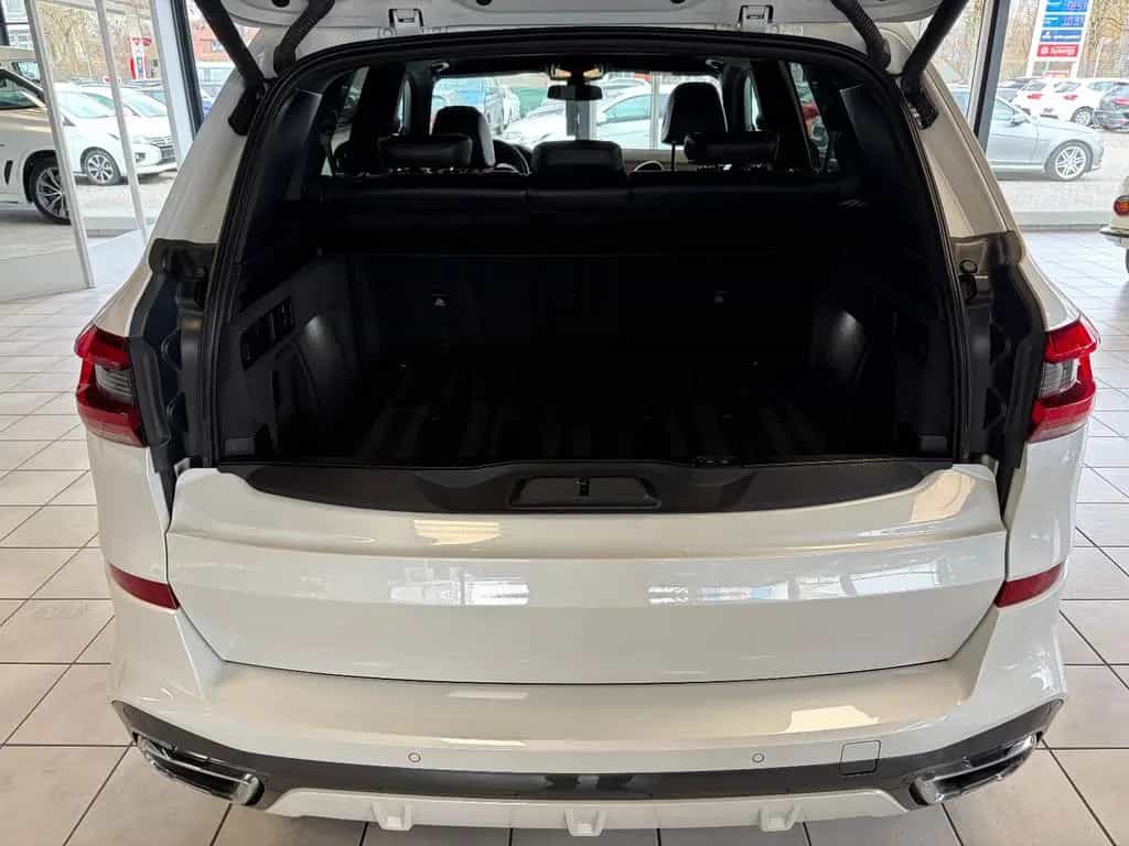 BMW X5 xDrive 30 d M Sport · Gestik · Luft · 360° · 02/2020-photo-14