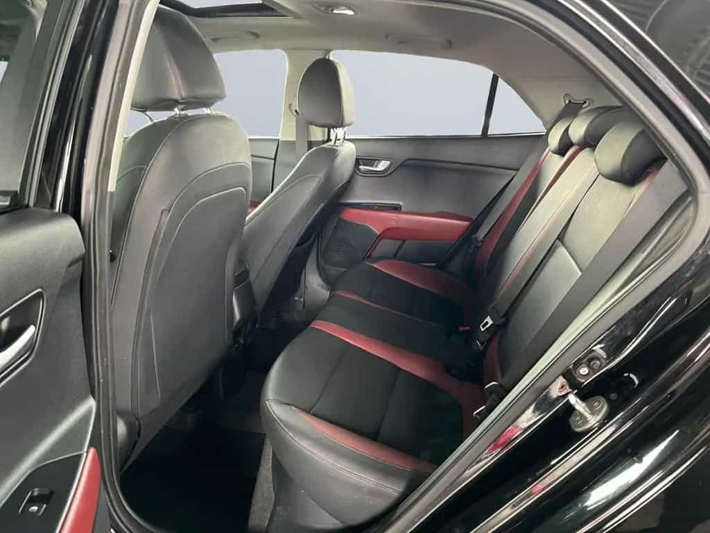 Kia Rio 1.0 T 120 Platinum Edition *Schiebed.*Leder* 04/2019-photo-13