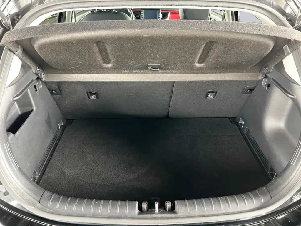 Kia Rio 1.0 T 120 Platinum Edition *Schiebed.*Leder* 04/2019-photo-14