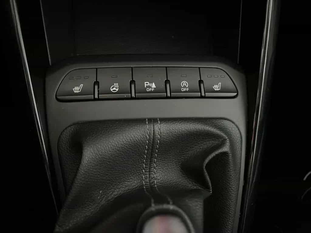Kia Rio 1.0 T 120 Platinum Edition *Schiebed.*Leder* 04/2019-photo-21