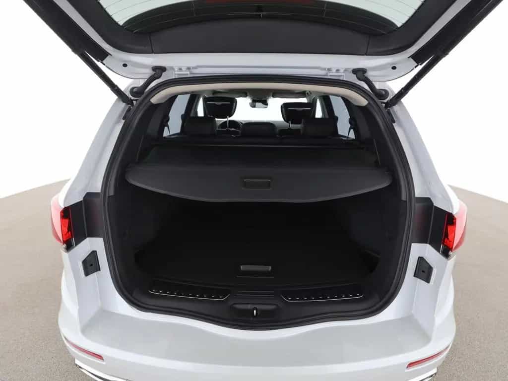 Renault Koleos 2.0 BLUE dCi 4x4 Initiale Paris Pano LED 12/2022-photo-15