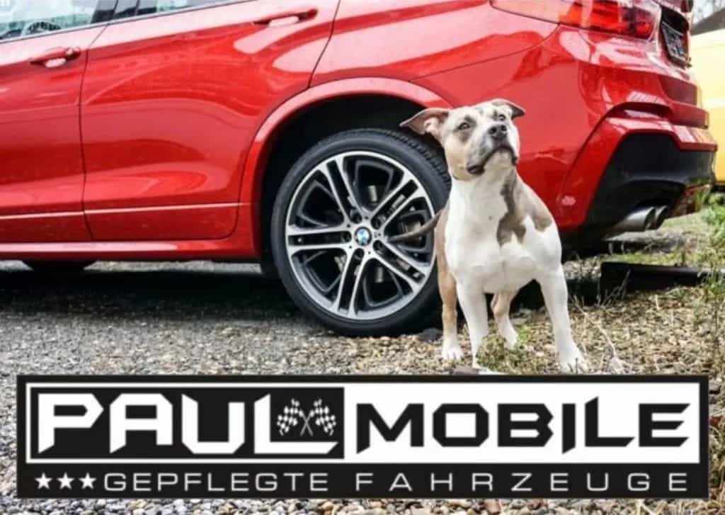 Audi Q3 45 TFSI quattro Panorama Navi Matrix-LED Rcam 06/2019-photo-28