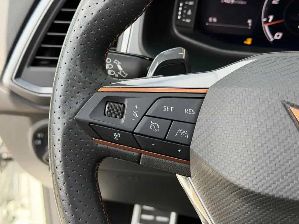 Cupra Ateca 2.0 TSI 4Drive OPF Navi/SHZ/LenkHZ/LED/DAB 10/2020-photo-12