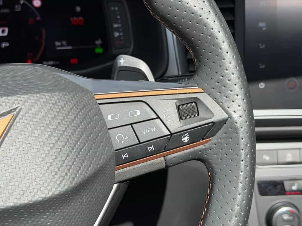 Cupra Ateca 2.0 TSI 4Drive OPF Navi/SHZ/LenkHZ/LED/DAB 10/2020-photo-13