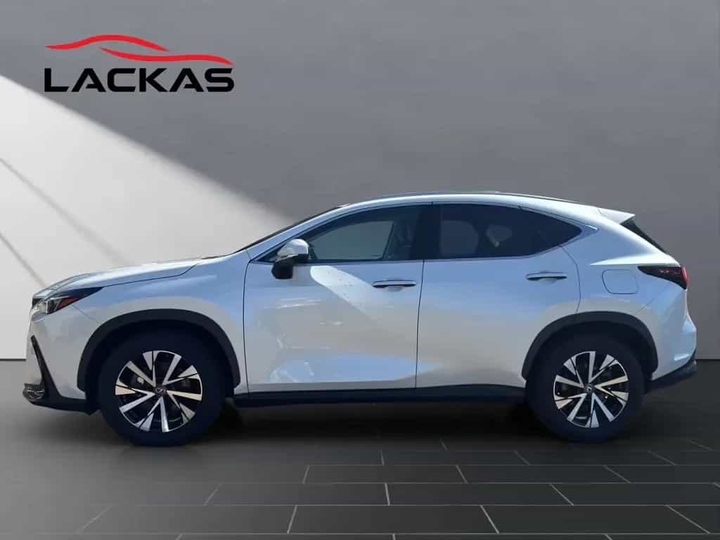 Lexus NX 350h (AZ20) 350 h Business Line 03/2024-photo-1