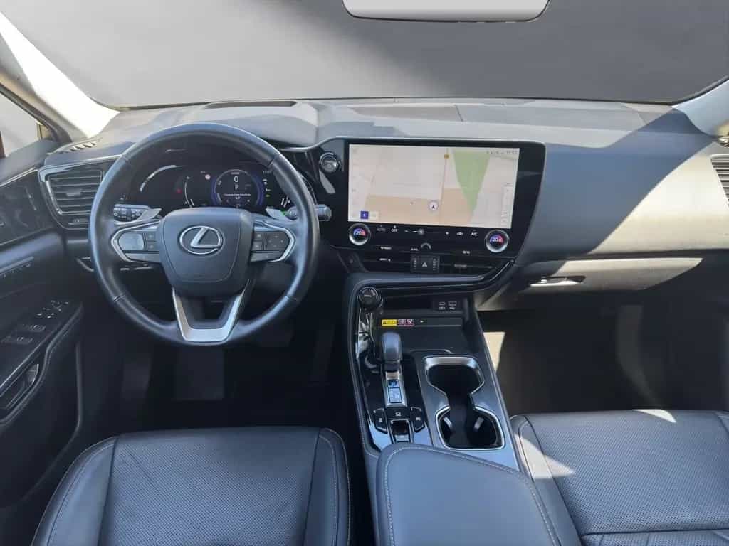 Lexus NX 350h (AZ20) 350 h Business Line 03/2024-photo-12