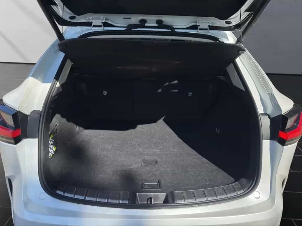 Lexus NX 350h (AZ20) 350 h Business Line 03/2024-photo-18