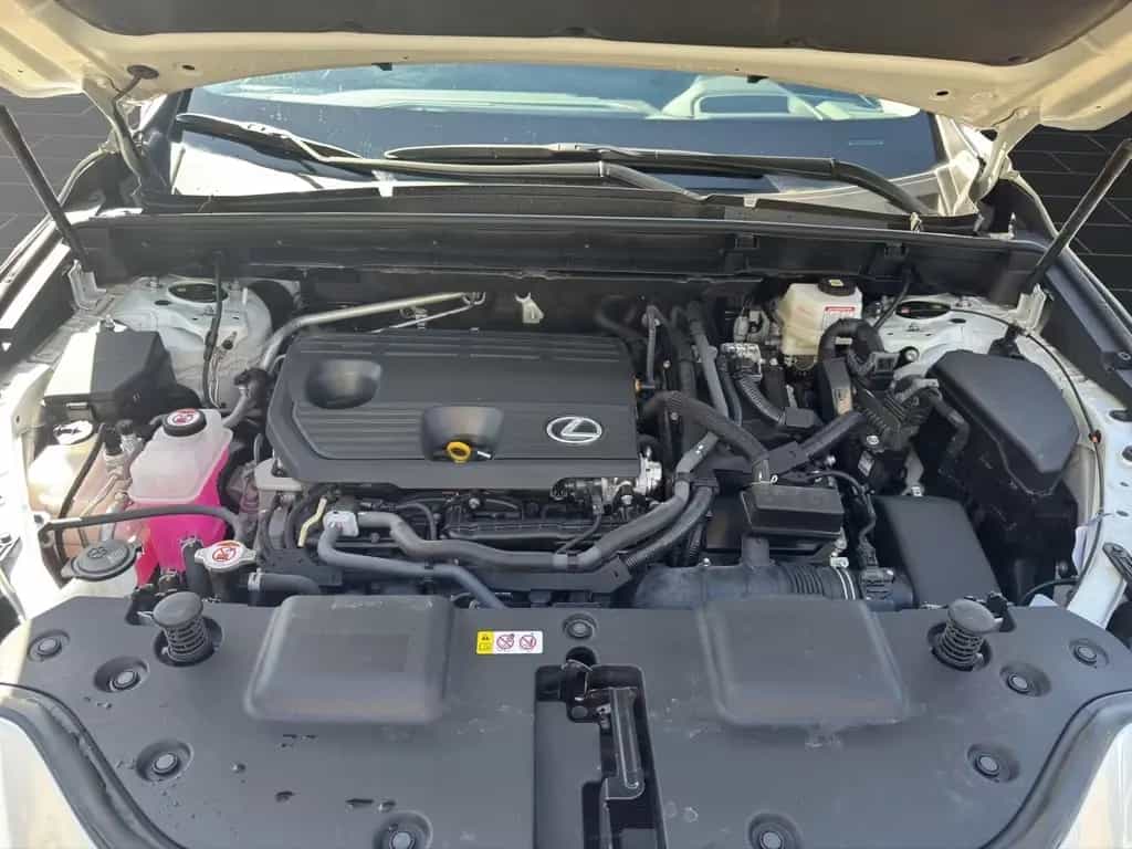 Lexus NX 350h (AZ20) 350 h Business Line 03/2024-photo-19