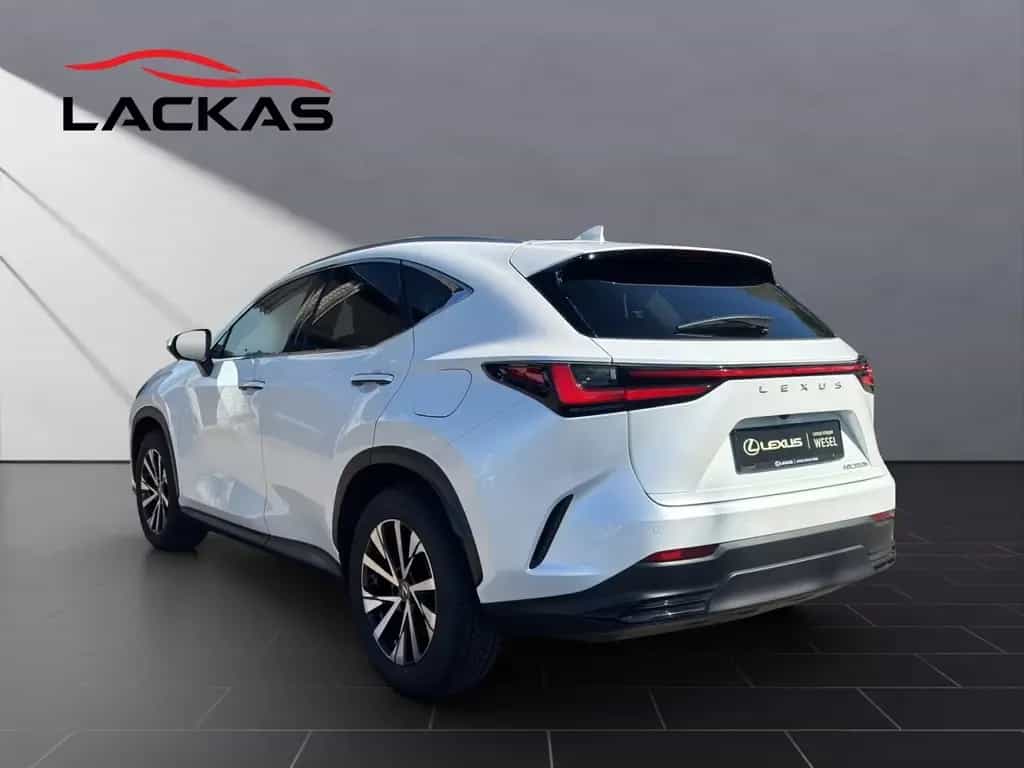 Lexus NX 350h (AZ20) 350 h Business Line 03/2024-photo-2