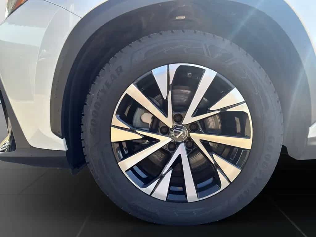 Lexus NX 350h (AZ20) 350 h Business Line 03/2024-photo-20