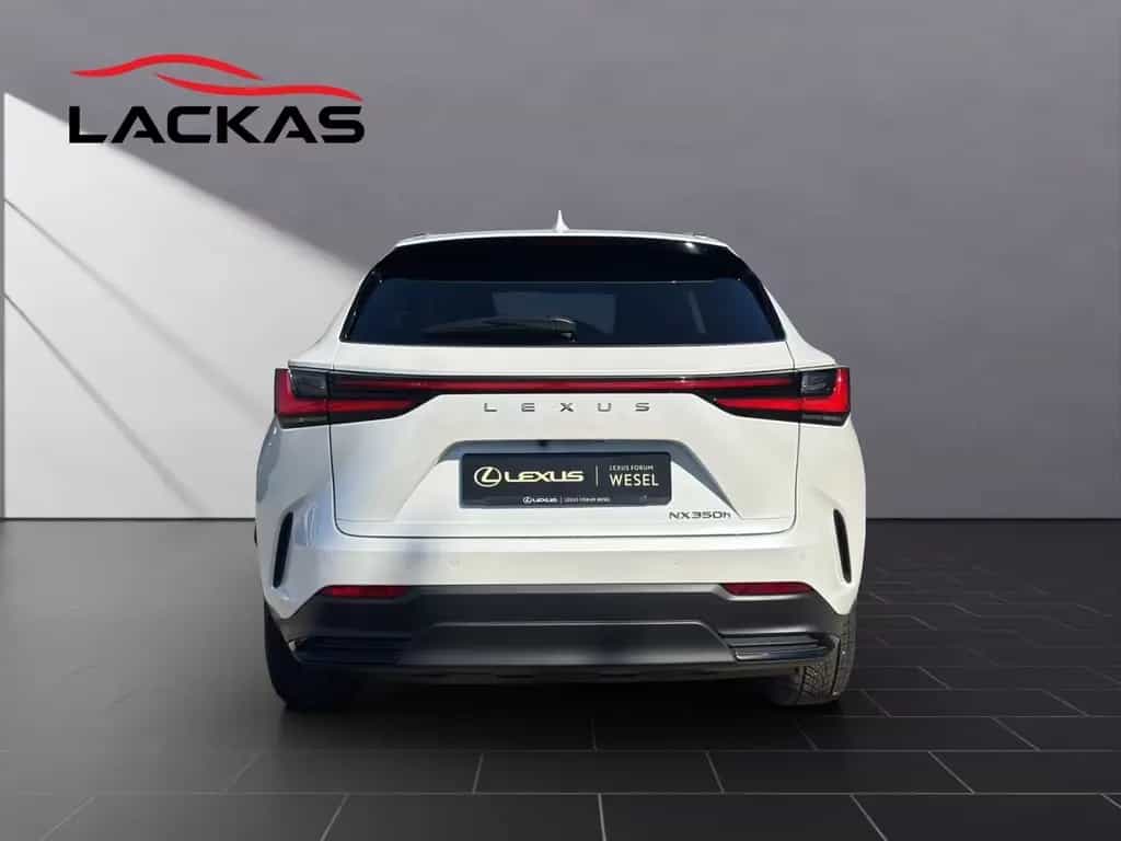 Lexus NX 350h (AZ20) 350 h Business Line 03/2024-photo-3