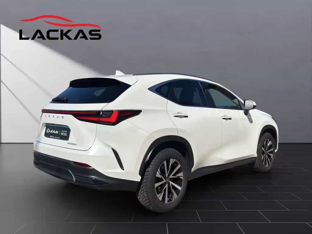 Lexus NX 350h (AZ20) 350 h Business Line 03/2024-photo-4