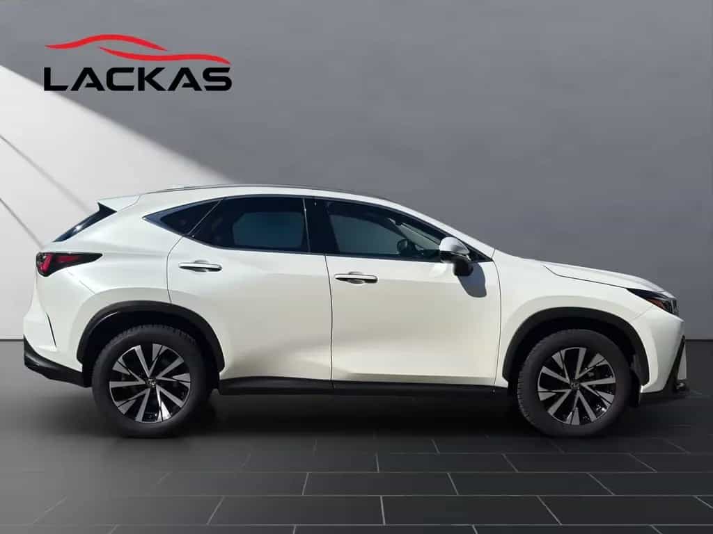 Lexus NX 350h (AZ20) 350 h Business Line 03/2024-photo-5