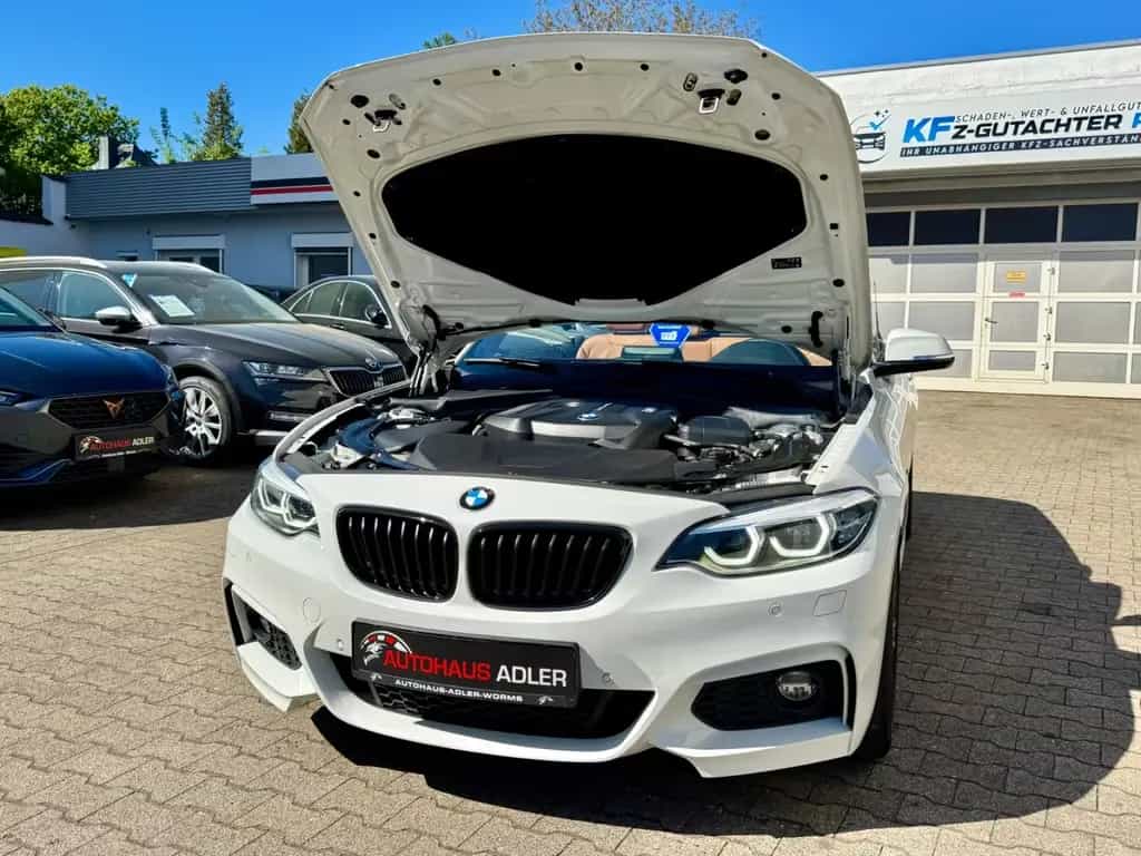 BMW 220 i Cabrio M-Sport*AUTOM*NAV*LED*SHZ*SHADOW*19% 10/2019-photo-6