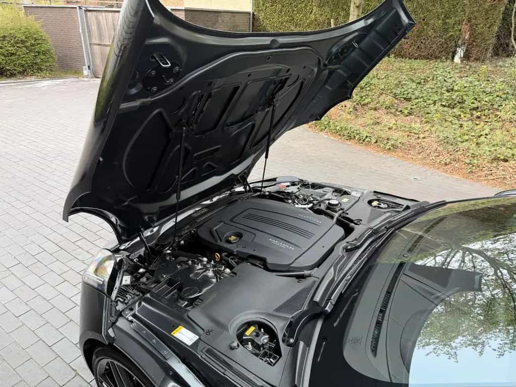 Jaguar Cabriolet Chequered Flag 01/2020-photo-48