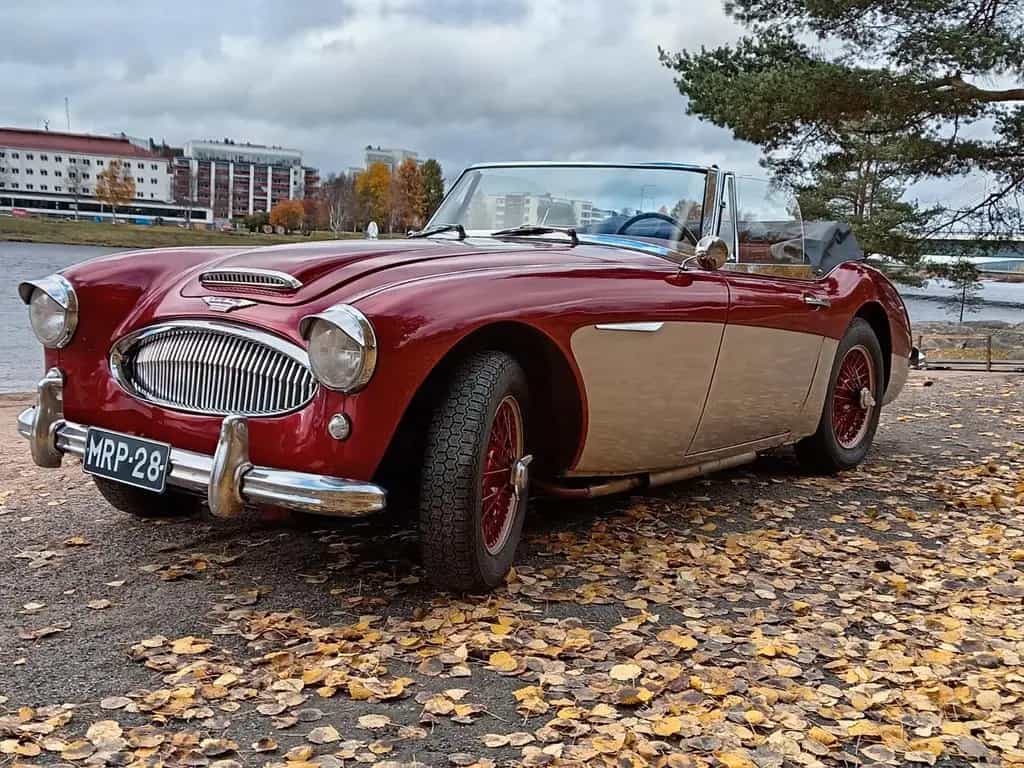 Austin Healey Other 3000 MK II BJ 7 1963 08/1963-photo-4