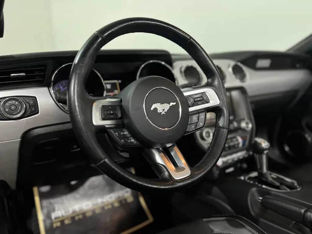 Ford Mustang 5.0 GT Convertible *Kamera*Perf-Paket* 03/2016-photo-21