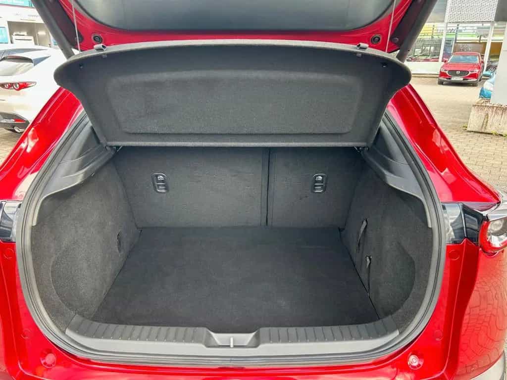 Mazda CX-30 2,0 Selection Automatik 11/2019-photo-14