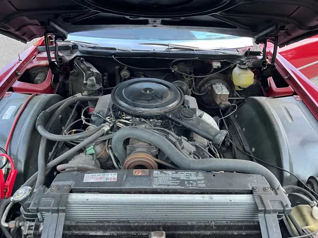 Cadillac Eldorado Cabrio 8,2 l V8 Motor 07/1975-photo-12