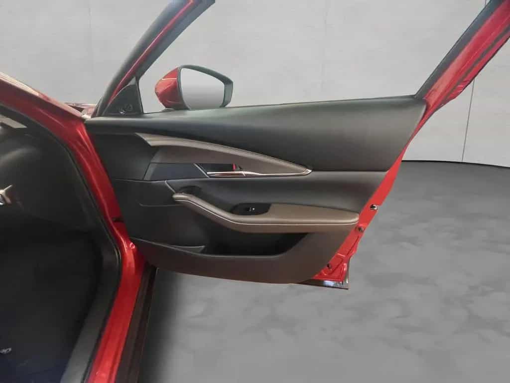 Mazda CX-30 Skyactiv-X 2.0 M-Hybrid AWD Selektion 6-Ga 01/2020-photo-19