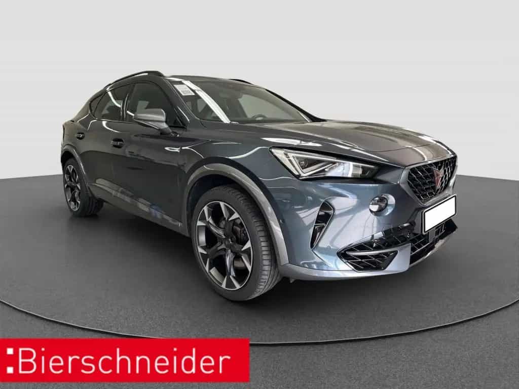 Cupra Formentor 2.0 TSI DSG 4Dr AB299EUR VZ PANO BEATS 04/2023-photo-12