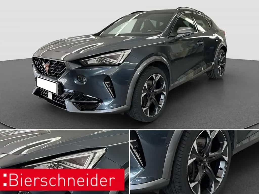 Cupra Formentor 2.0 TSI DSG 4Dr AB299EUR VZ PANO BEATS 04/2023-photo-36