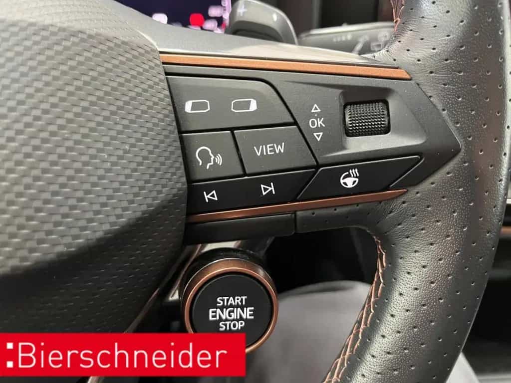 Cupra Formentor 2.0 TSI DSG 4Dr AB299EUR VZ PANO BEATS 04/2023-photo-38