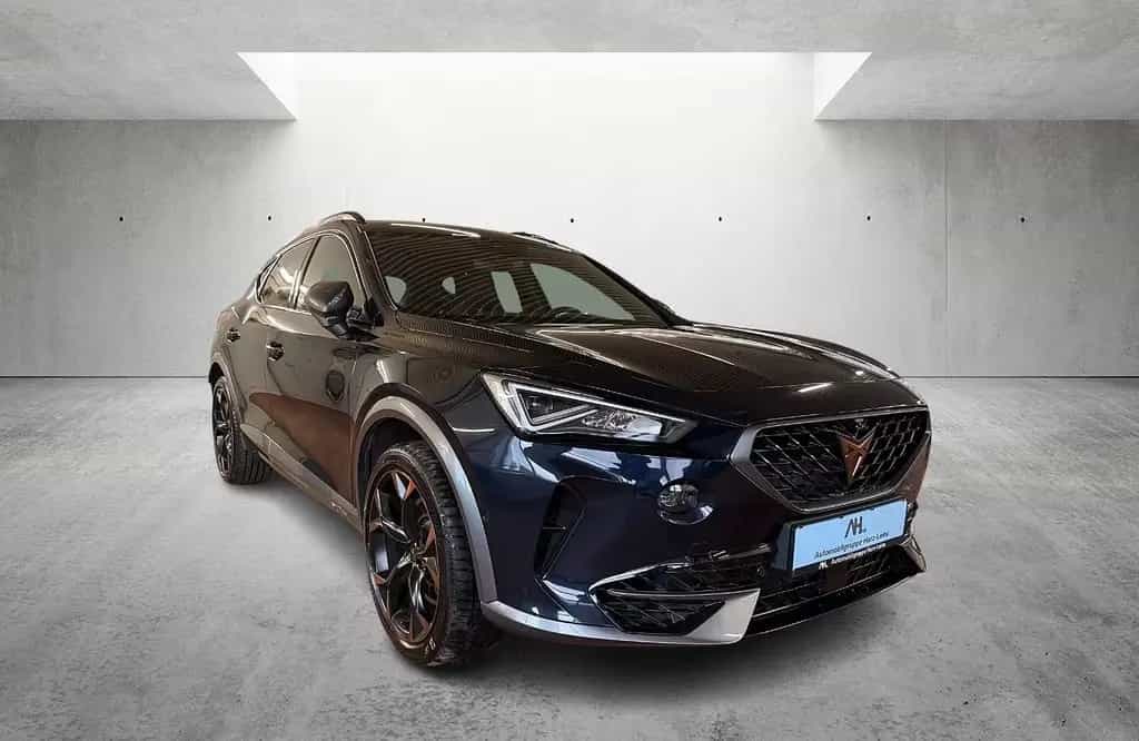 Cupra Formentor VZ 2.0 TSI 4Drive DSG LED Navi ACC 360 09/2022-photo-7