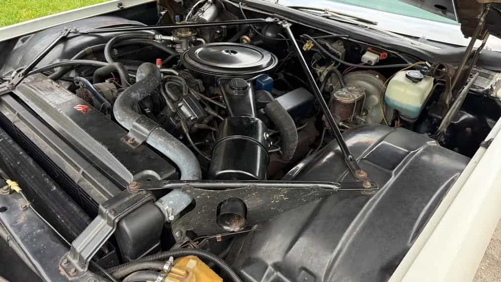 Cadillac Deville Coupe Deville 1974 02/1974-photo-13