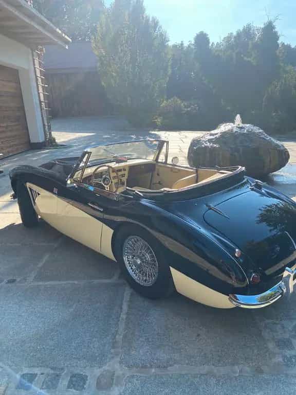 Austin Healey Other 3000 MK2 01/1964-photo-19