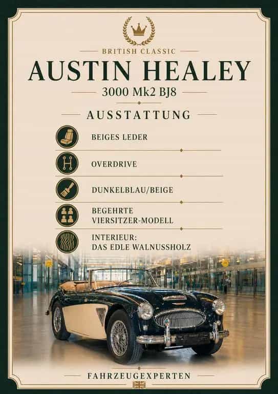 Austin Healey Other 3000 MK2 01/1964-photo-26